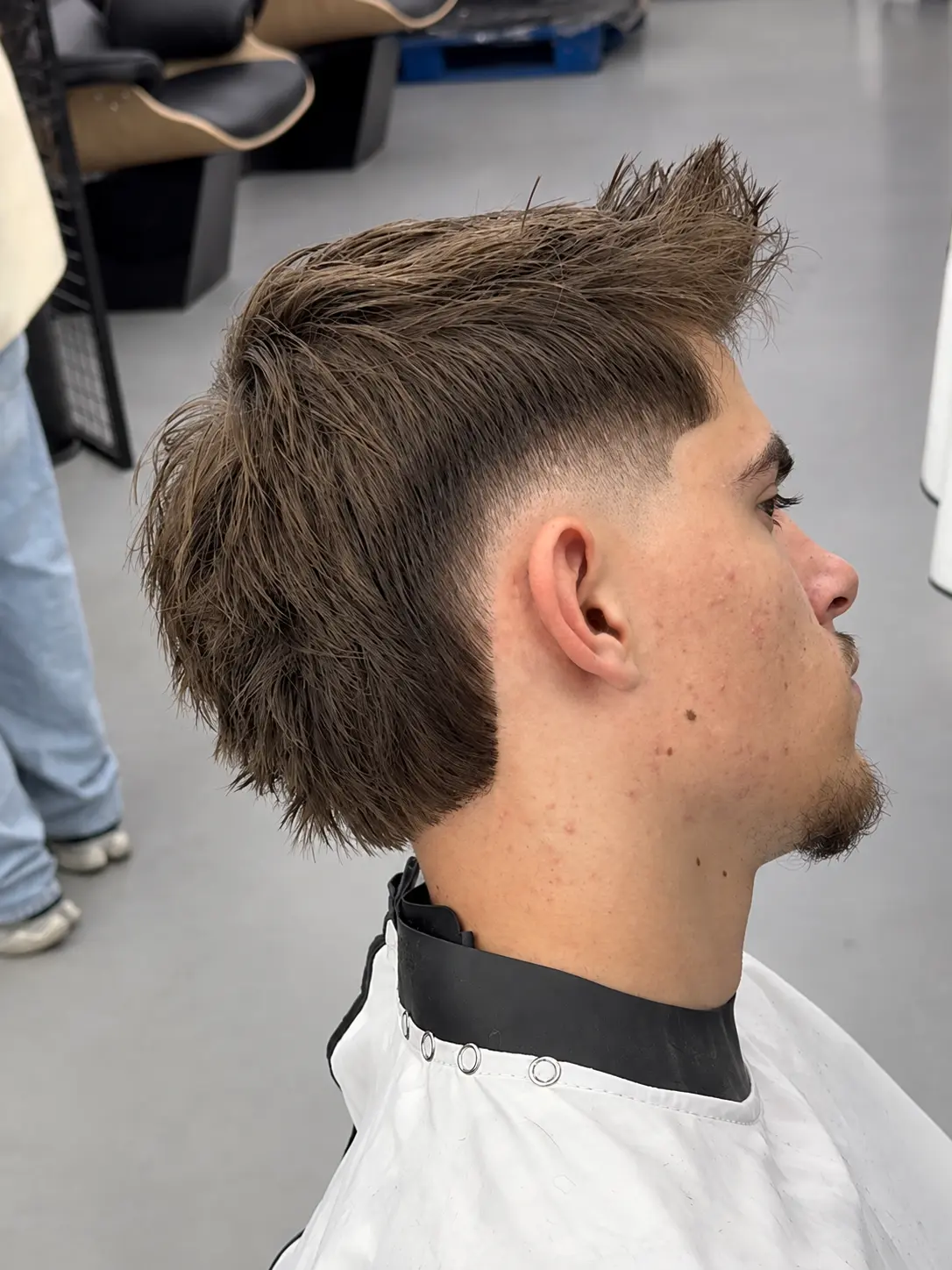Mullet — het werk van Alex